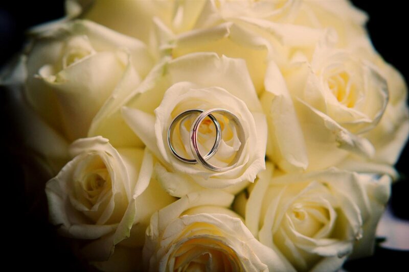 Wedding Rings on Roses — White, Romantic