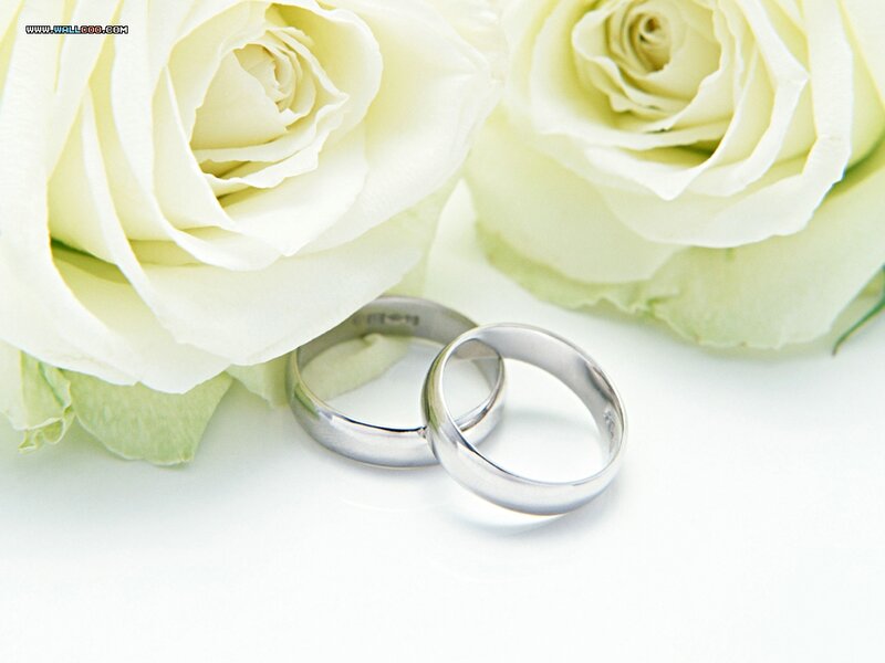 Wedding Rings on Roses — White