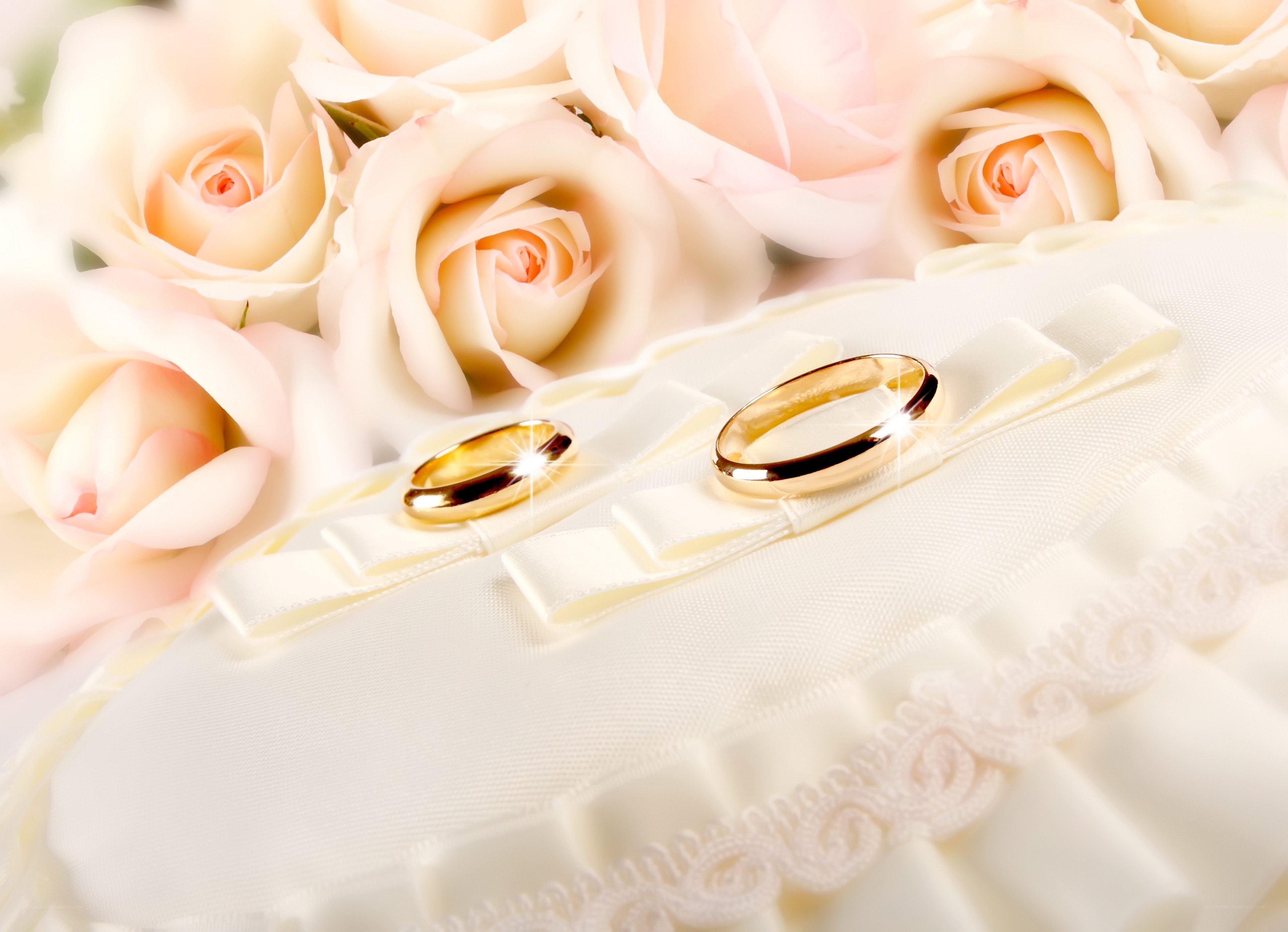 Wedding rings on roses