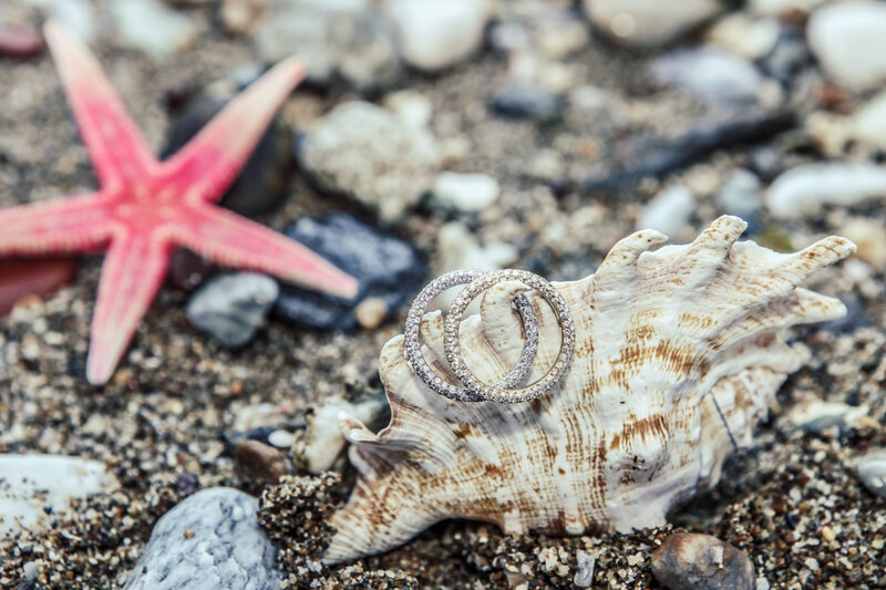 Wedding rings on seashell
