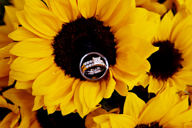 Wedding Rings on Sunflower