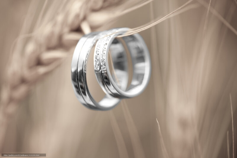 Wedding Rings on Wheat — Beige