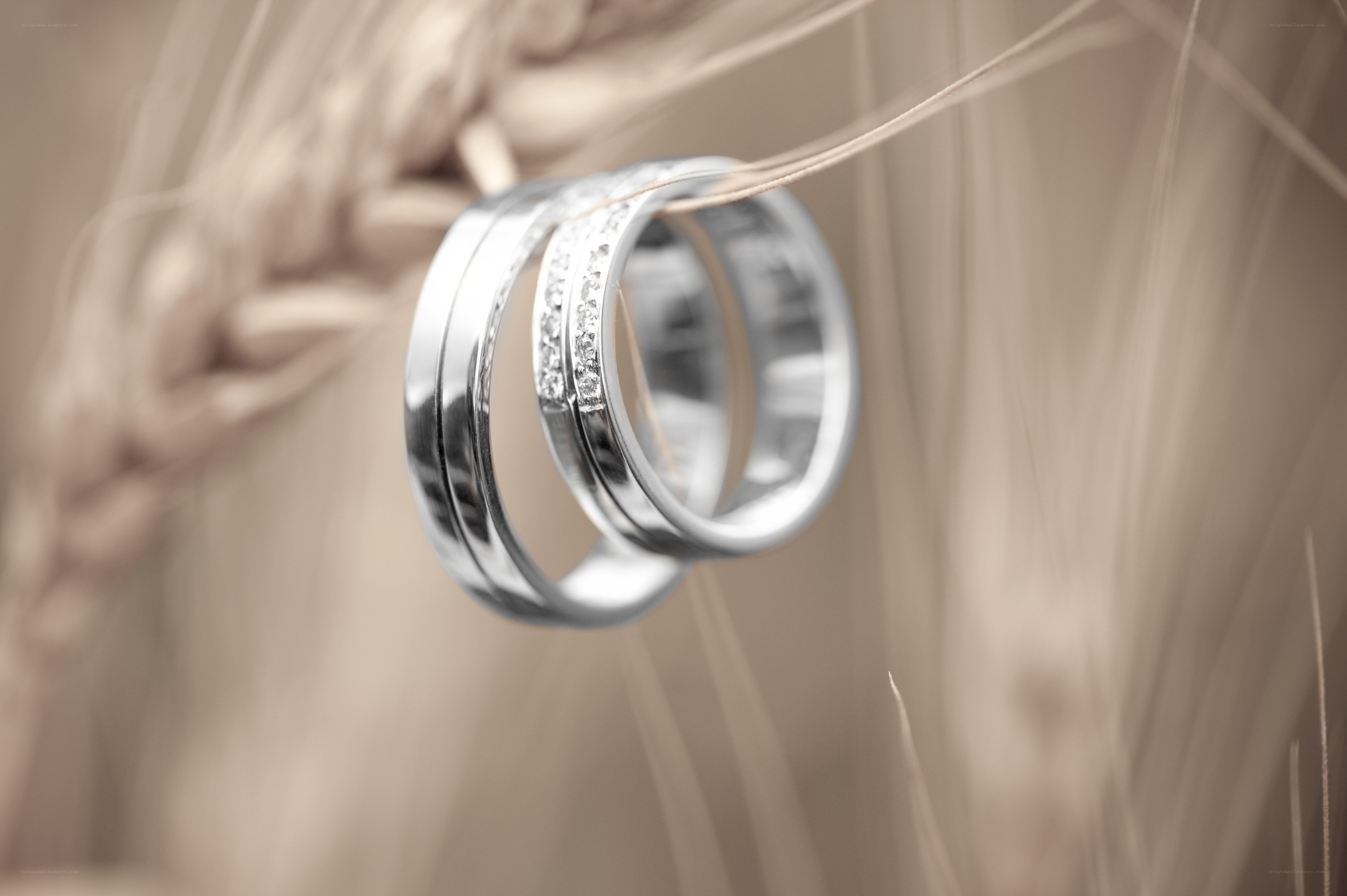 Wedding rings on wheat stalk
