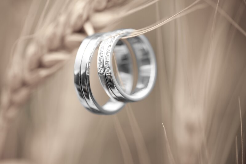 Wedding rings on wheat stalks