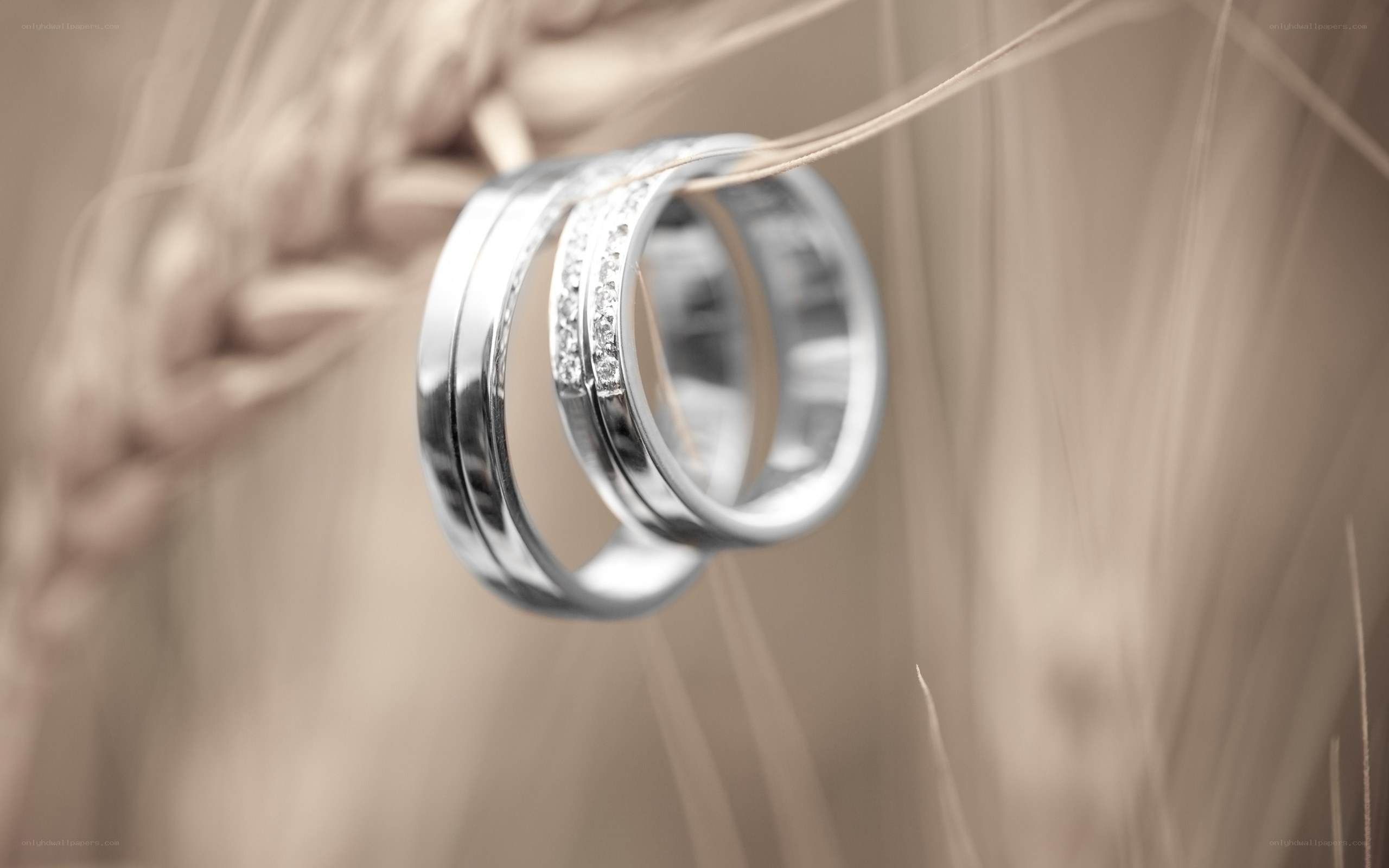wedding rings on wheat
