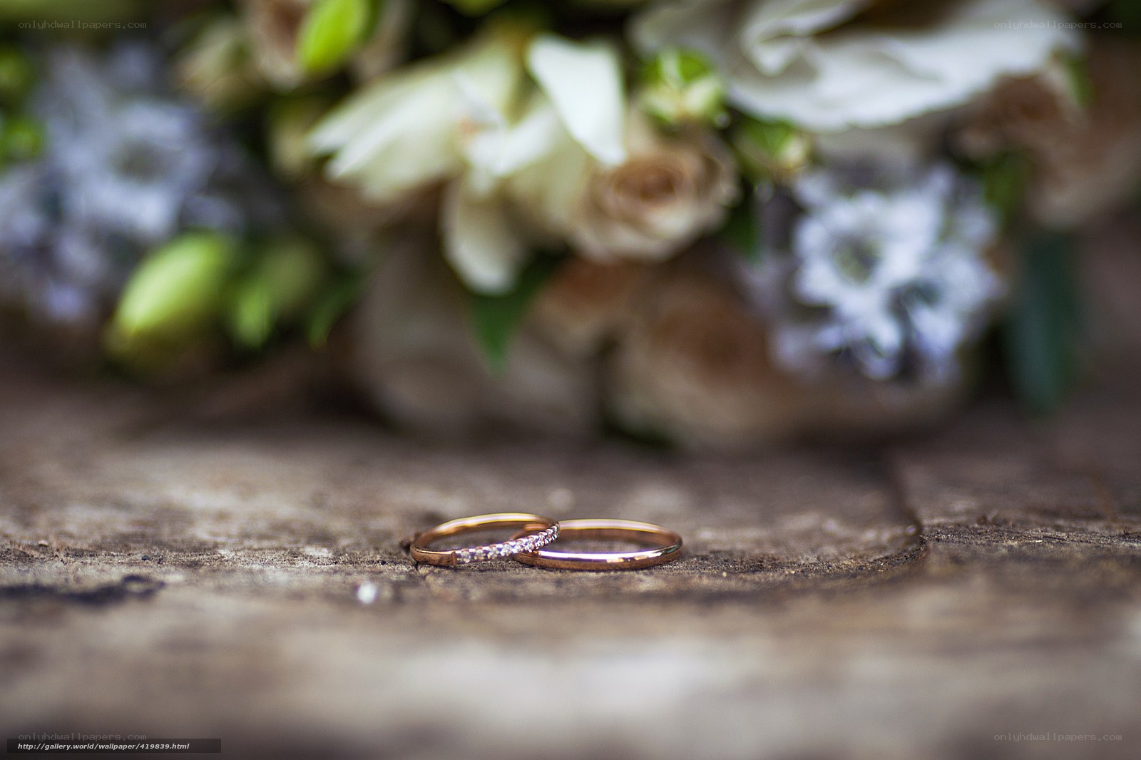 Wedding rings on wooden surface
