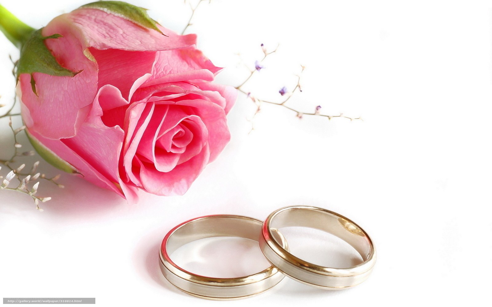 Wedding rings with pink rose