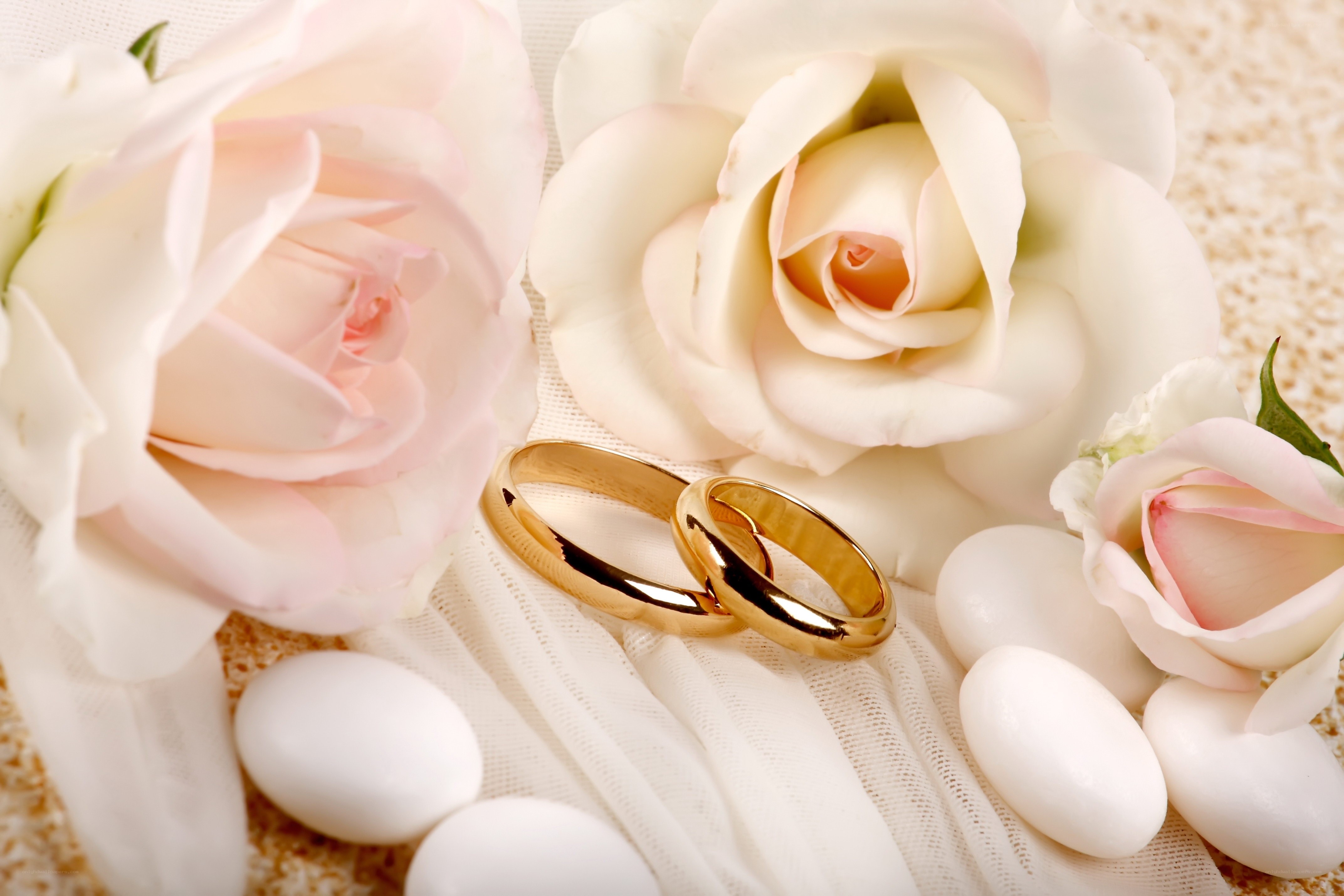Wedding rings with white roses