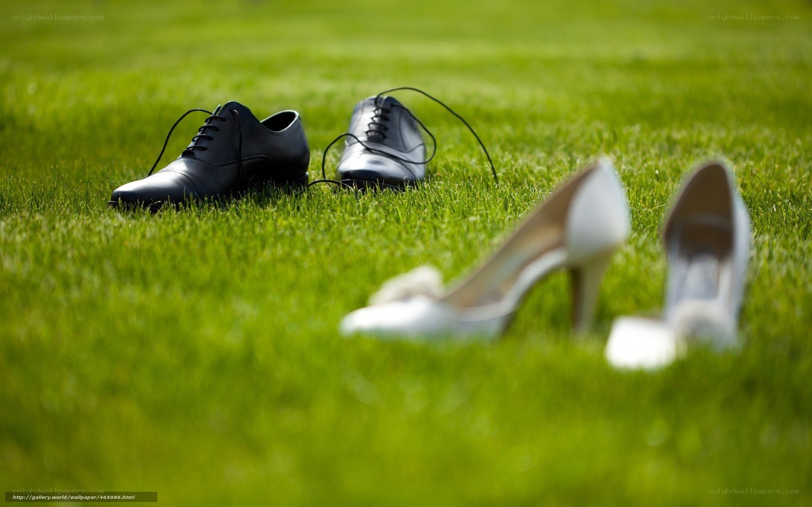 Wedding shoes on grass
