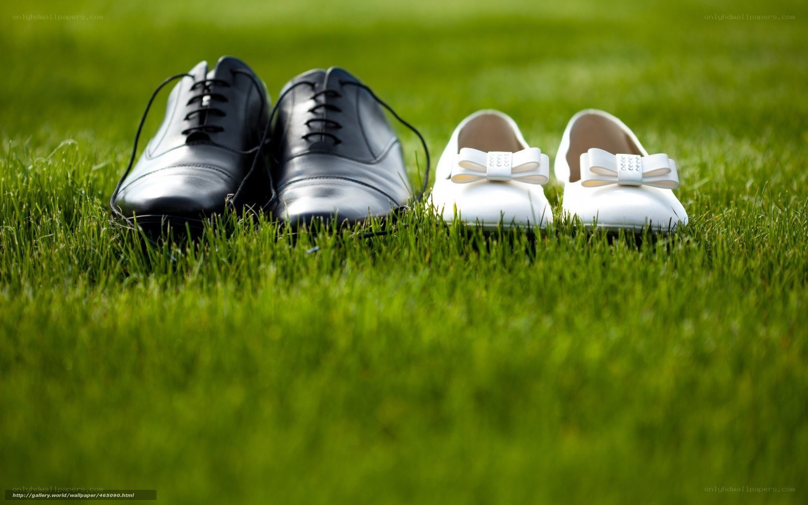Wedding shoes on grass