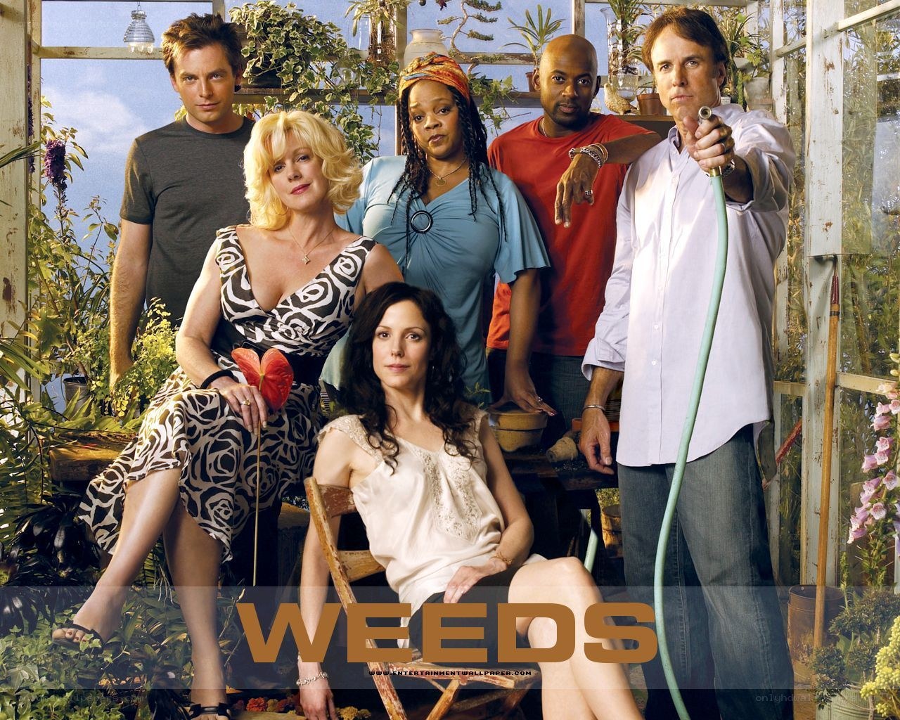 Weeds cast in a greenhouse