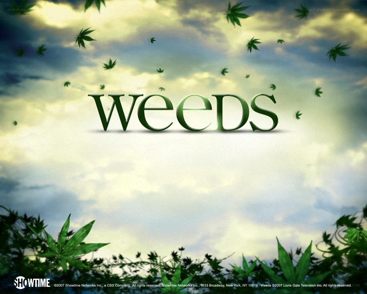 Weeds TV show title card