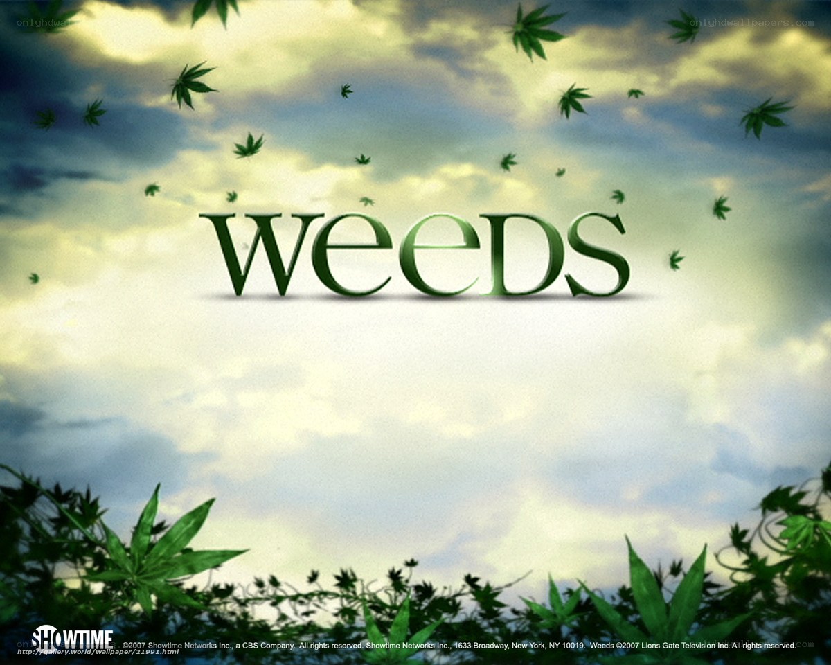 Weeds TV show title card