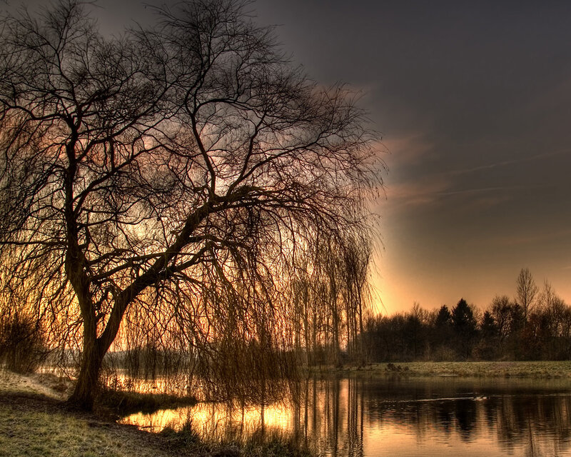 Weeping Willow Tree — Orange, Dramatic, Sunset, Photograph, River, Sky