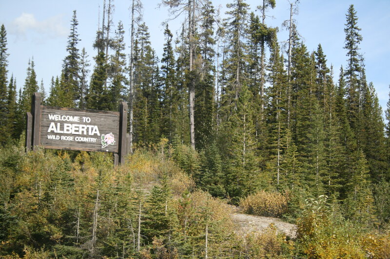 Welcome Sign in Forest