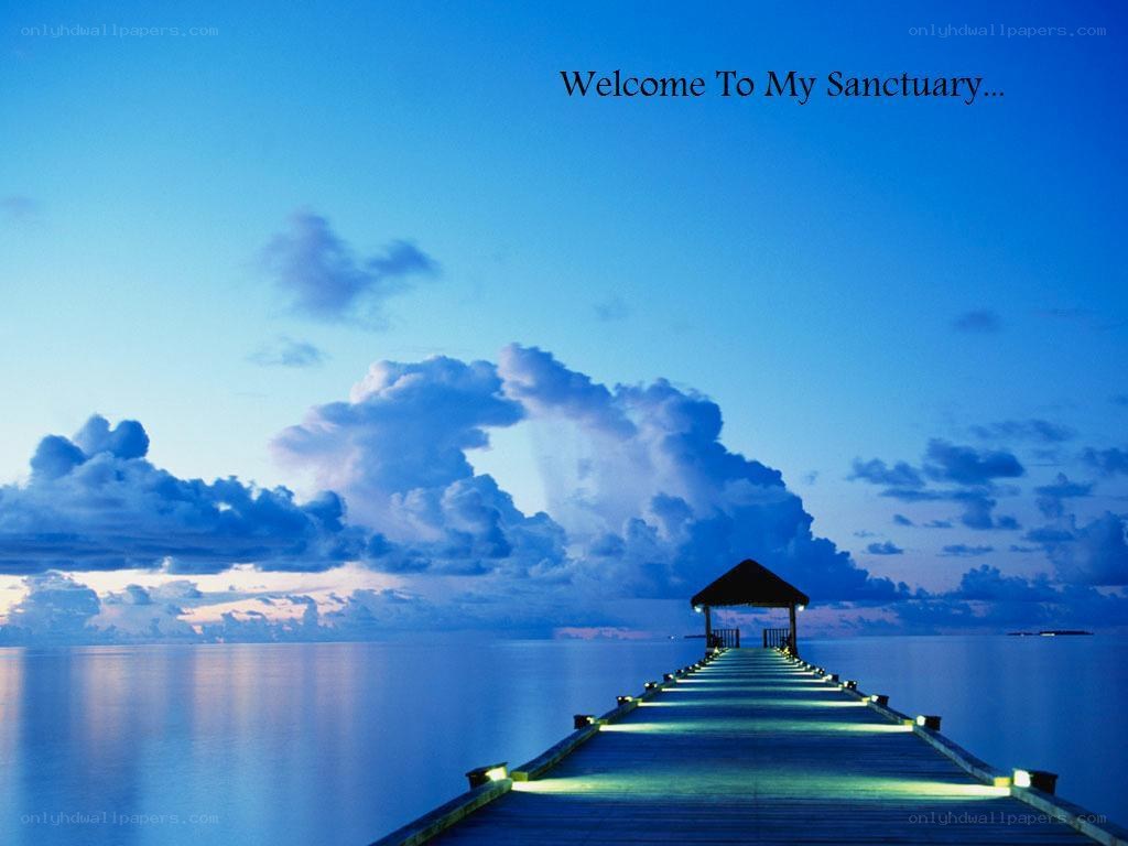 Welcome to my sanctuary