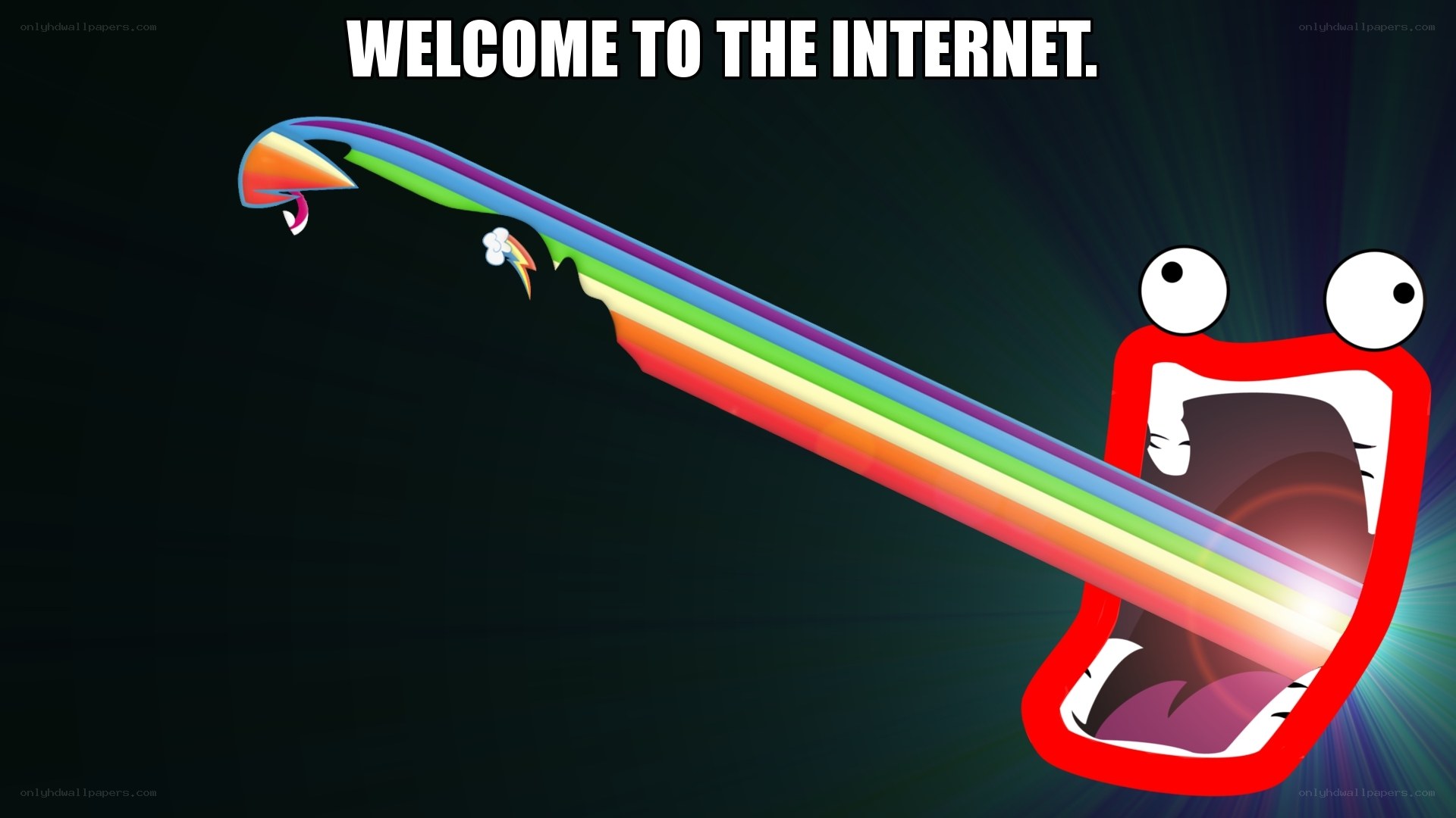 welcome to the internet