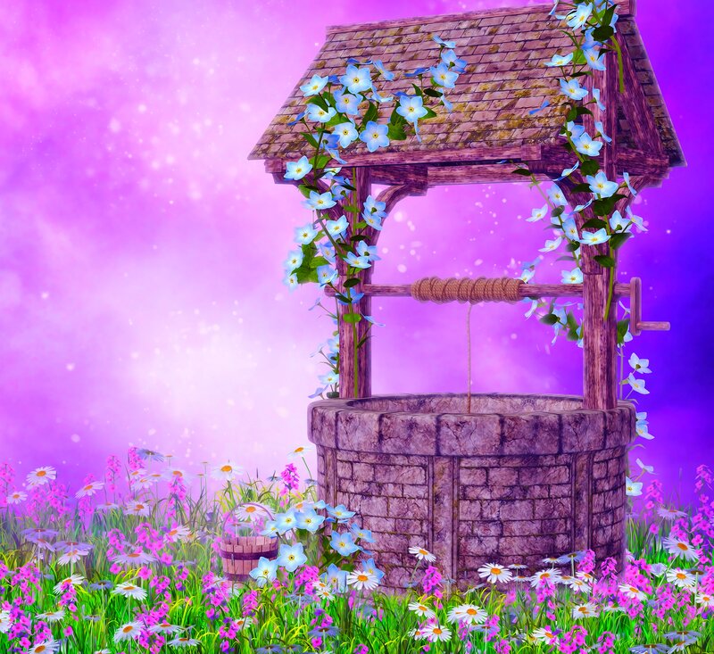 Well in Flower Field