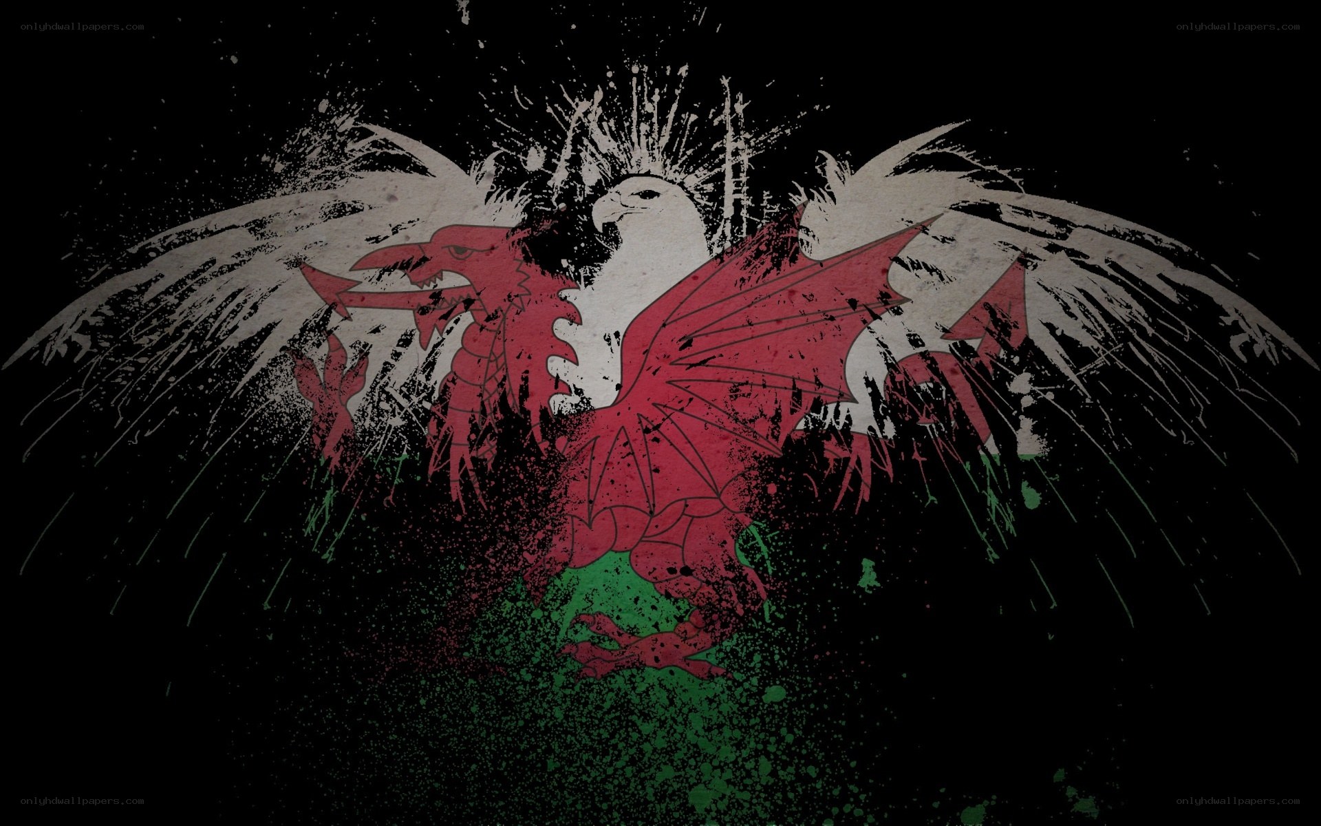 Welsh dragon with grunge style