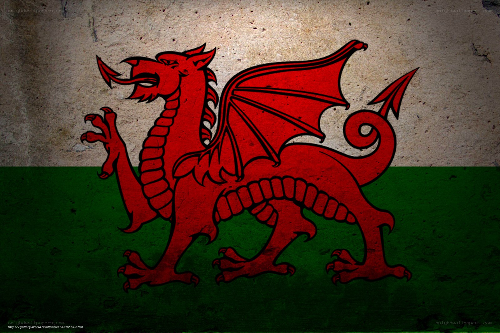 Welsh flag with red dragon