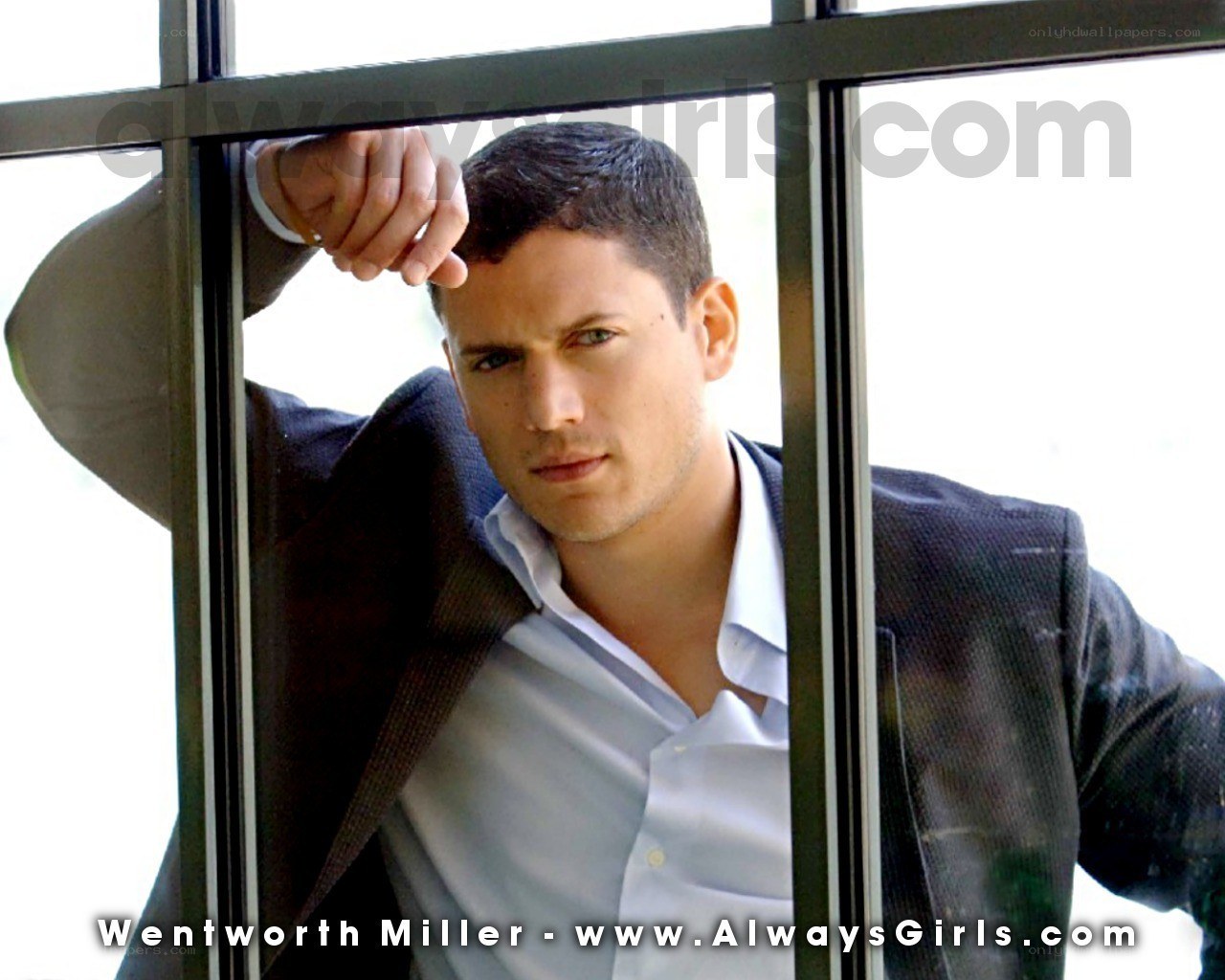 Wentworth Miller by window