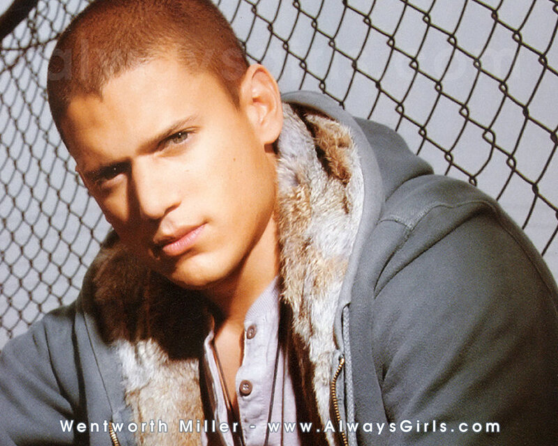 Wentworth Miller portrait
