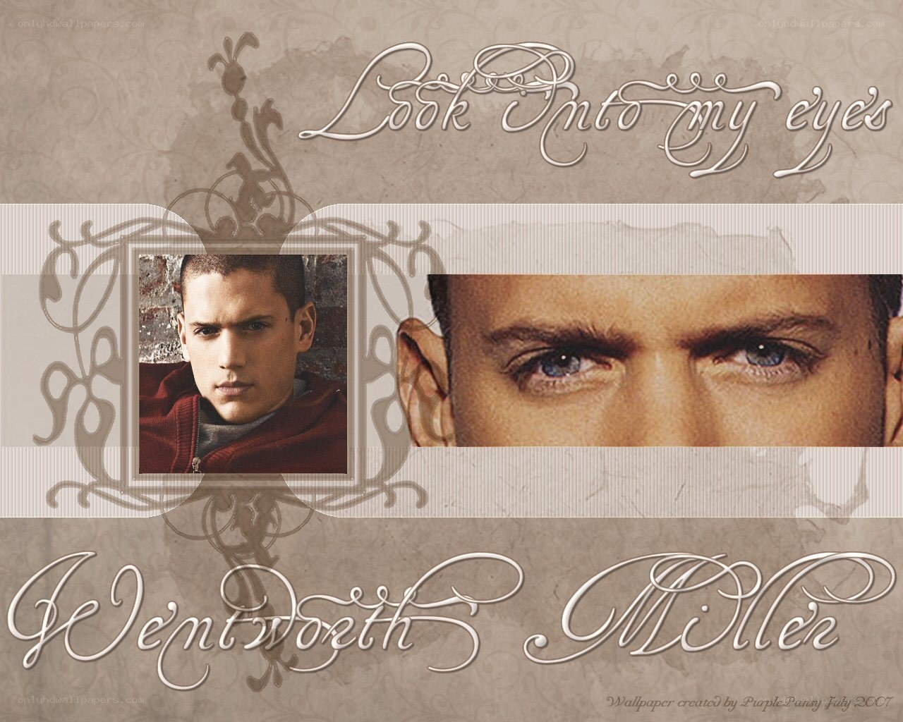 Wentworth Miller wallpaper