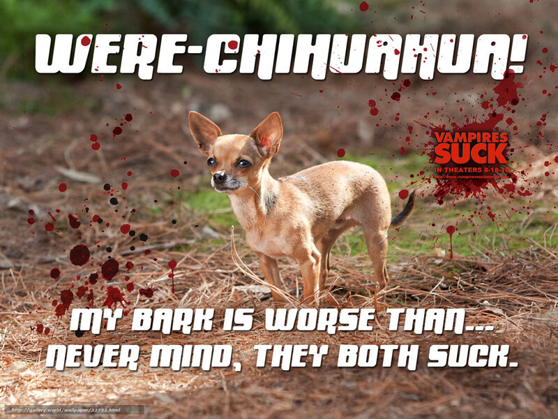 Were-Chihuahua movie poster
