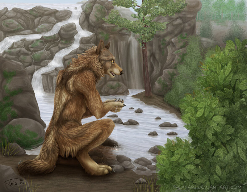 Werewolf by Stream