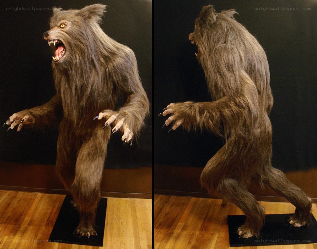 werewolf costume display