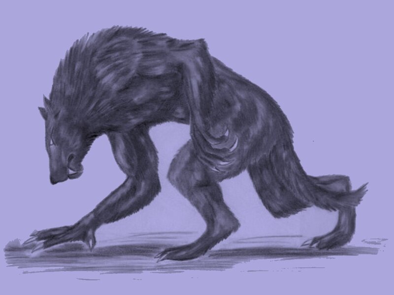 werewolf creature drawing