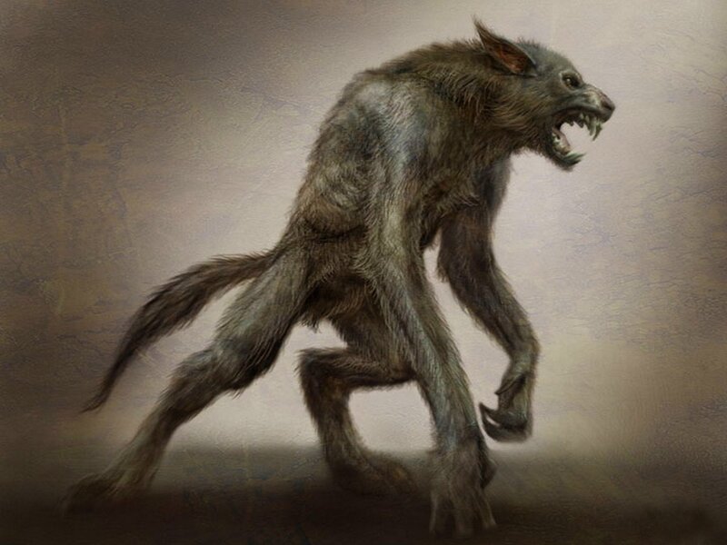 werewolf creature illustration