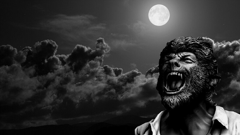 Werewolf Howling at Moon — Black, Dramatic