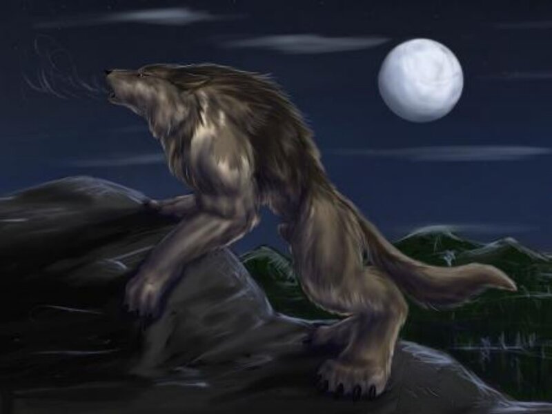 werewolf howling at the moon