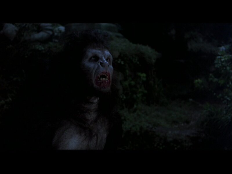 Werewolf in Dark Forest — Black