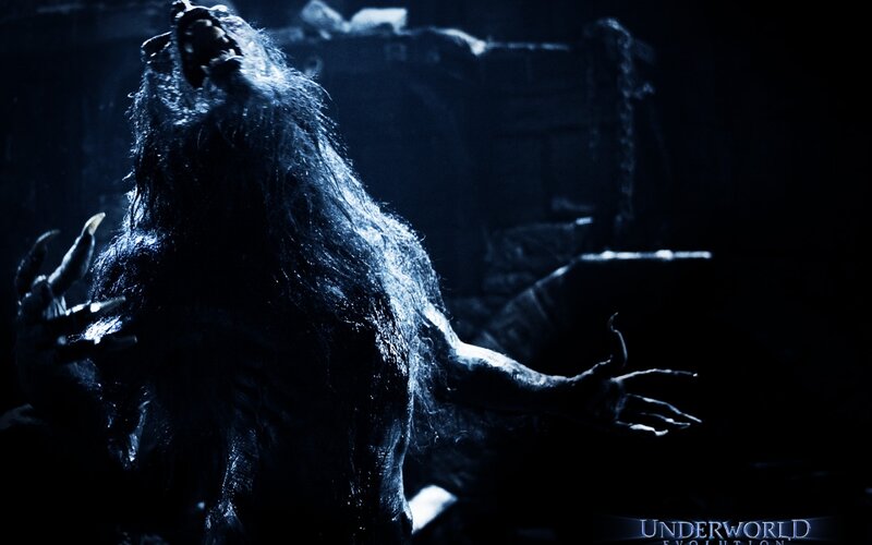 Werewolf in Dark Room