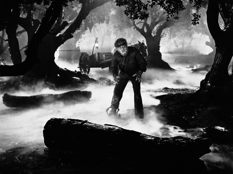 Werewolf in Forest — Black, Dramatic, Night
