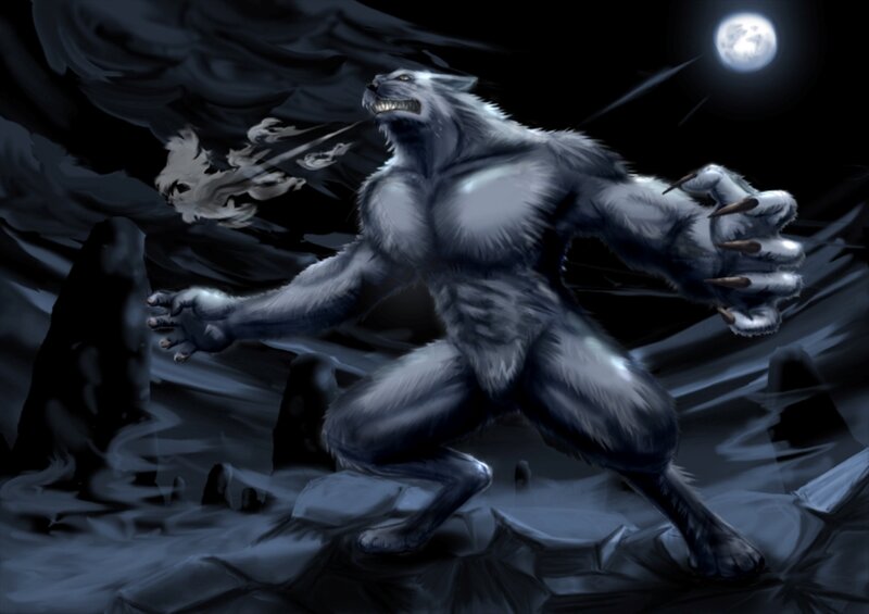 Werewolf in Moonlight — Gray