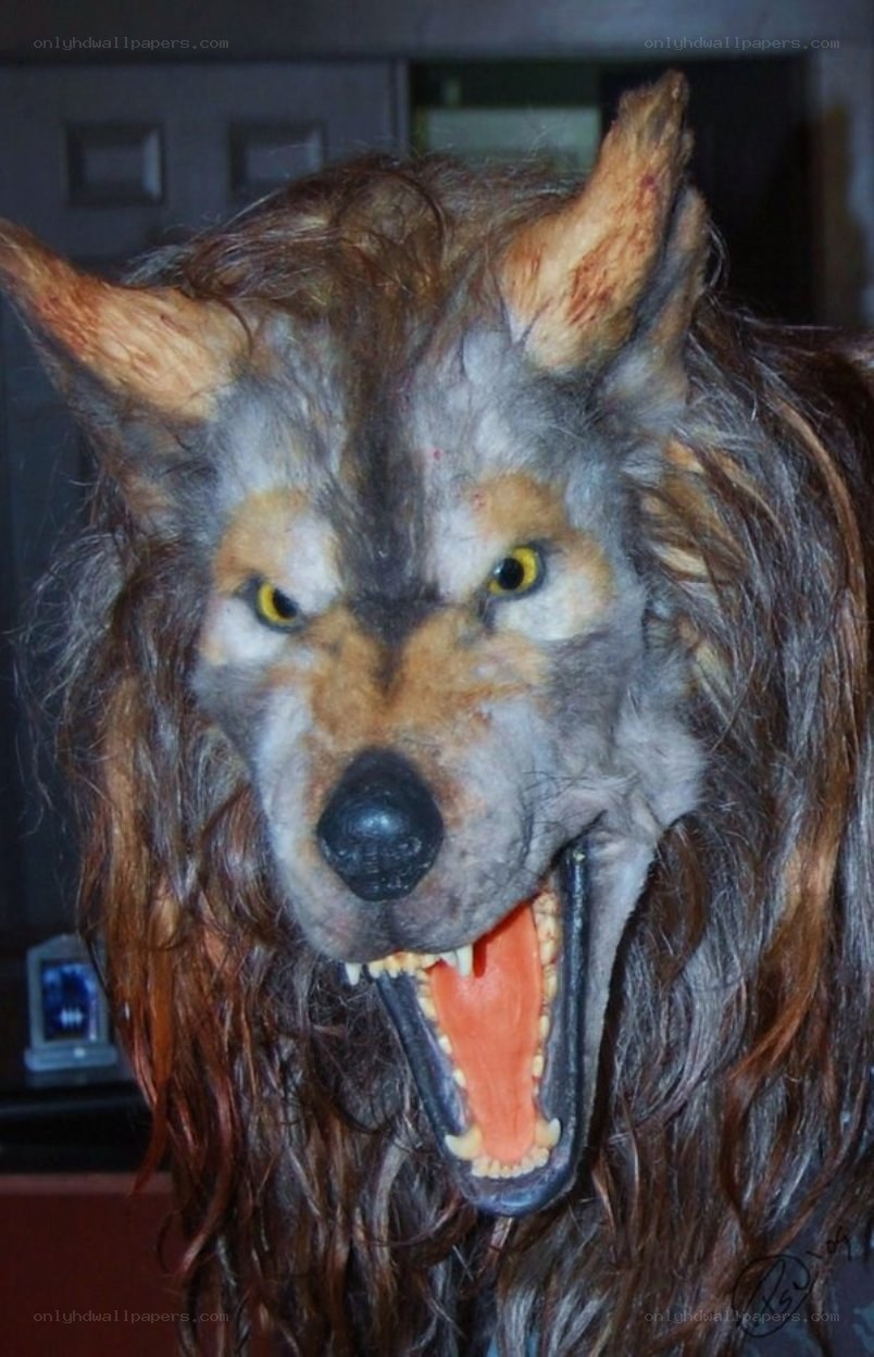 werewolf mask display