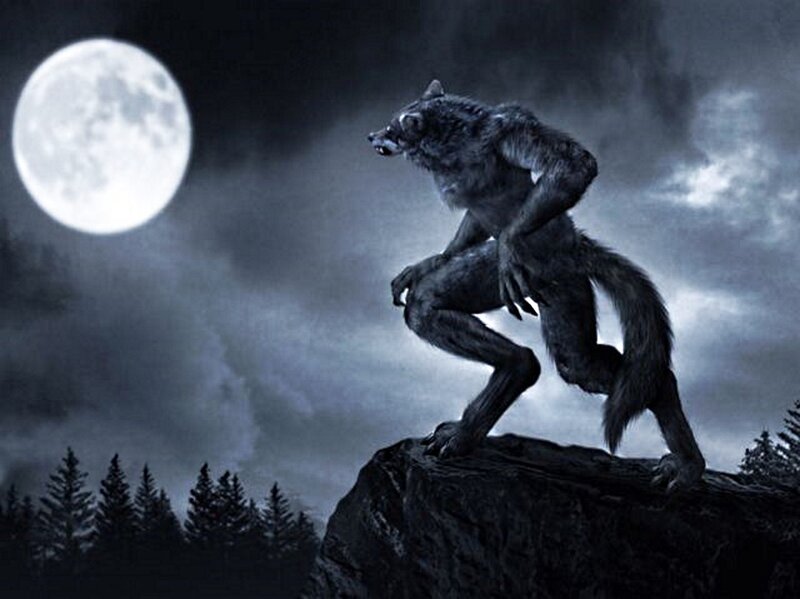 Werewolf on a Rock — Black