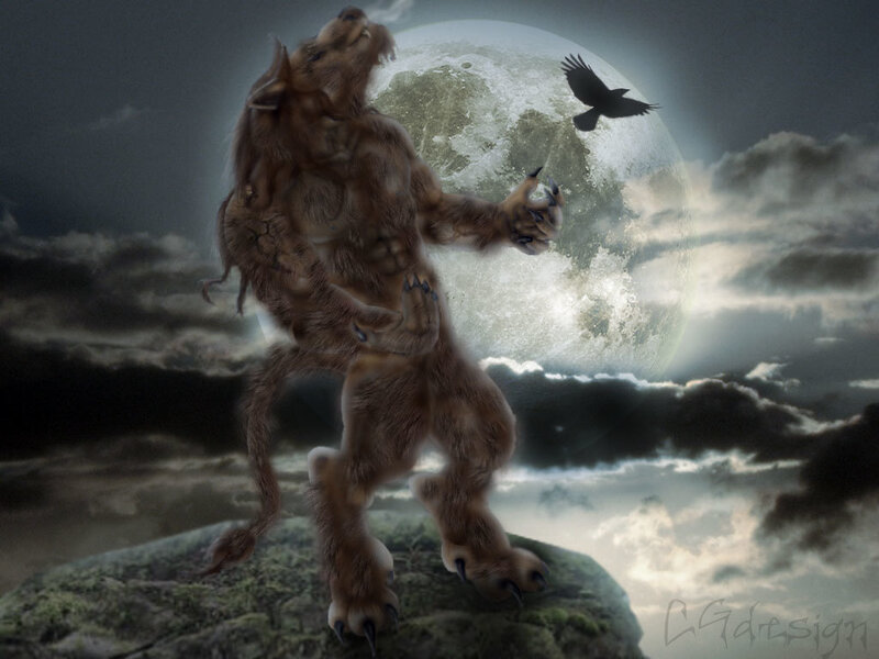 Werewolf on a Rock — Gray, Dramatic, Night