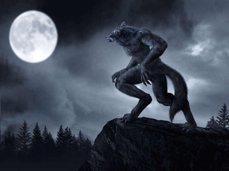werewolf under full moon