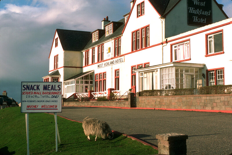 West Highland Hotel with grazing sheep