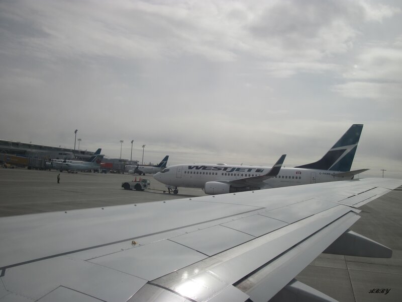 WestJet Airplane on Tarmac