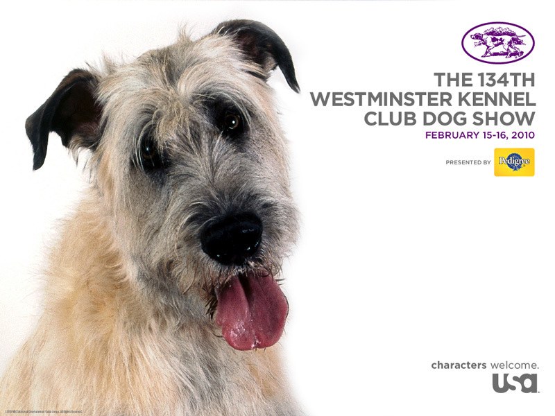 Westminster Dog Show poster