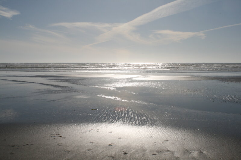 Wet Beach at Low Tide