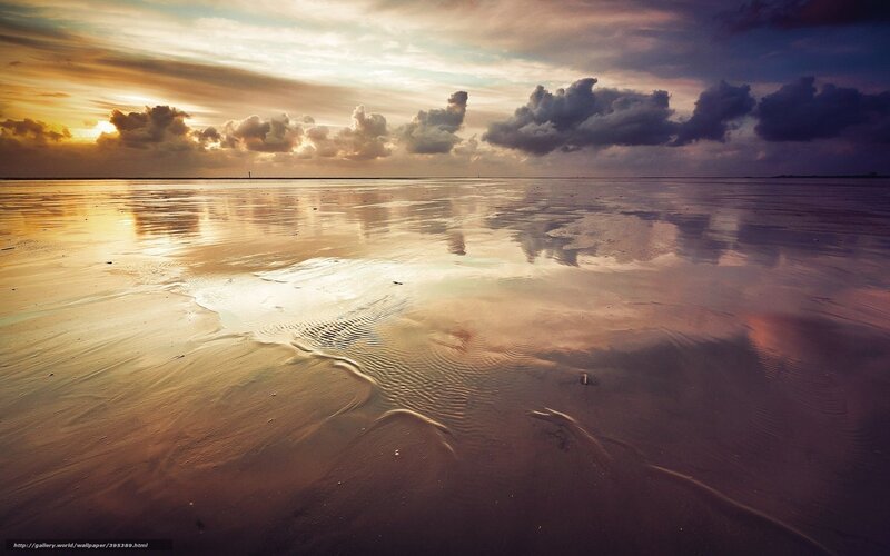 Wet Beach at Sunset — Gold, Dramatic