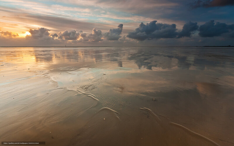 Wet Beach at Sunset — Orange