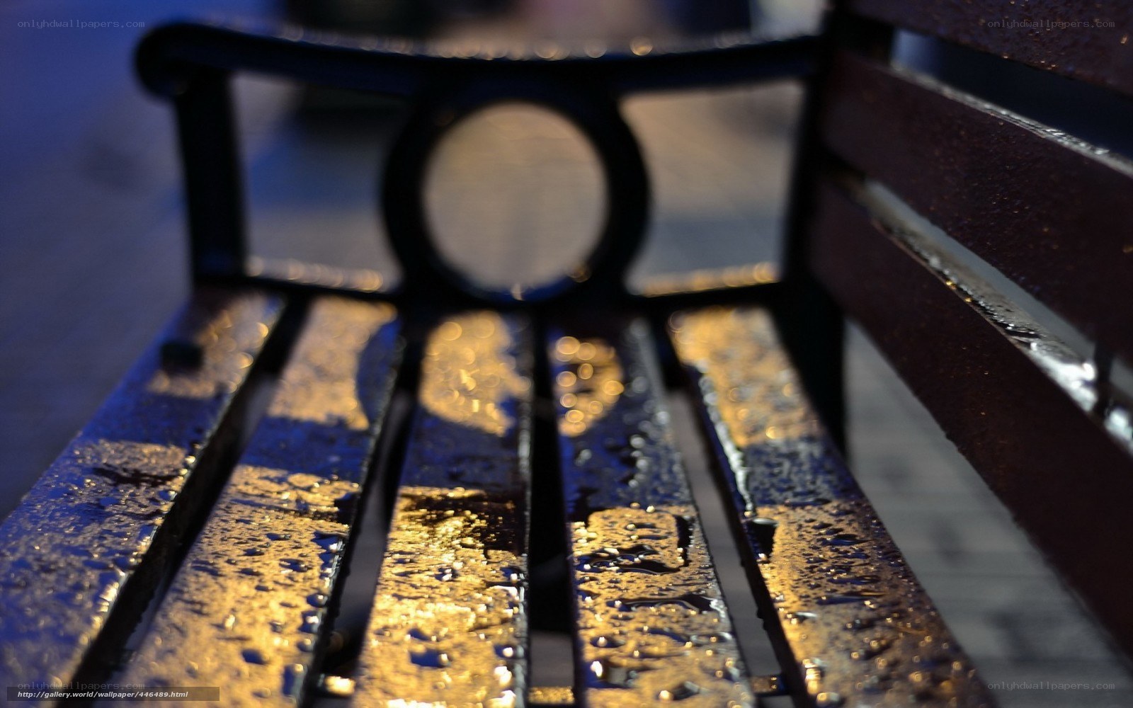 wet bench in evening light