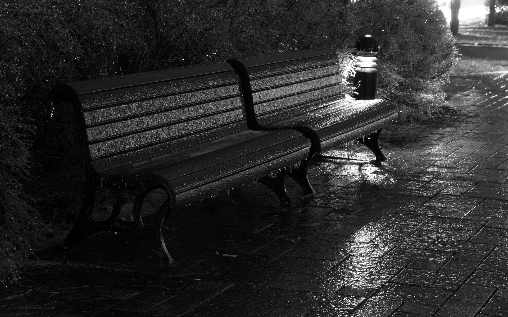 Wet bench in park at night